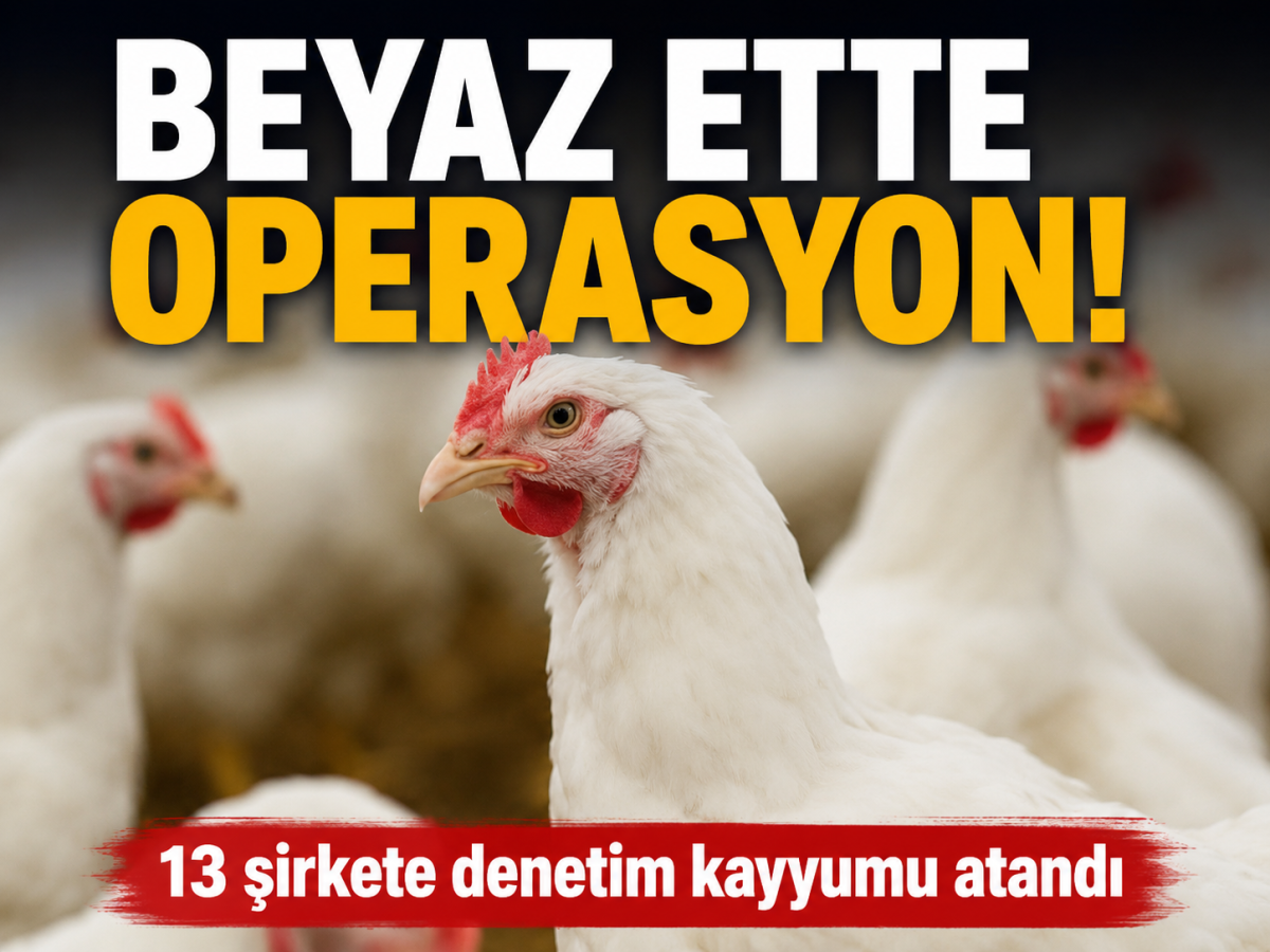 Beyaz Et Sektöründe Operasyon: 13 Şirkete Kayyum Denetimi