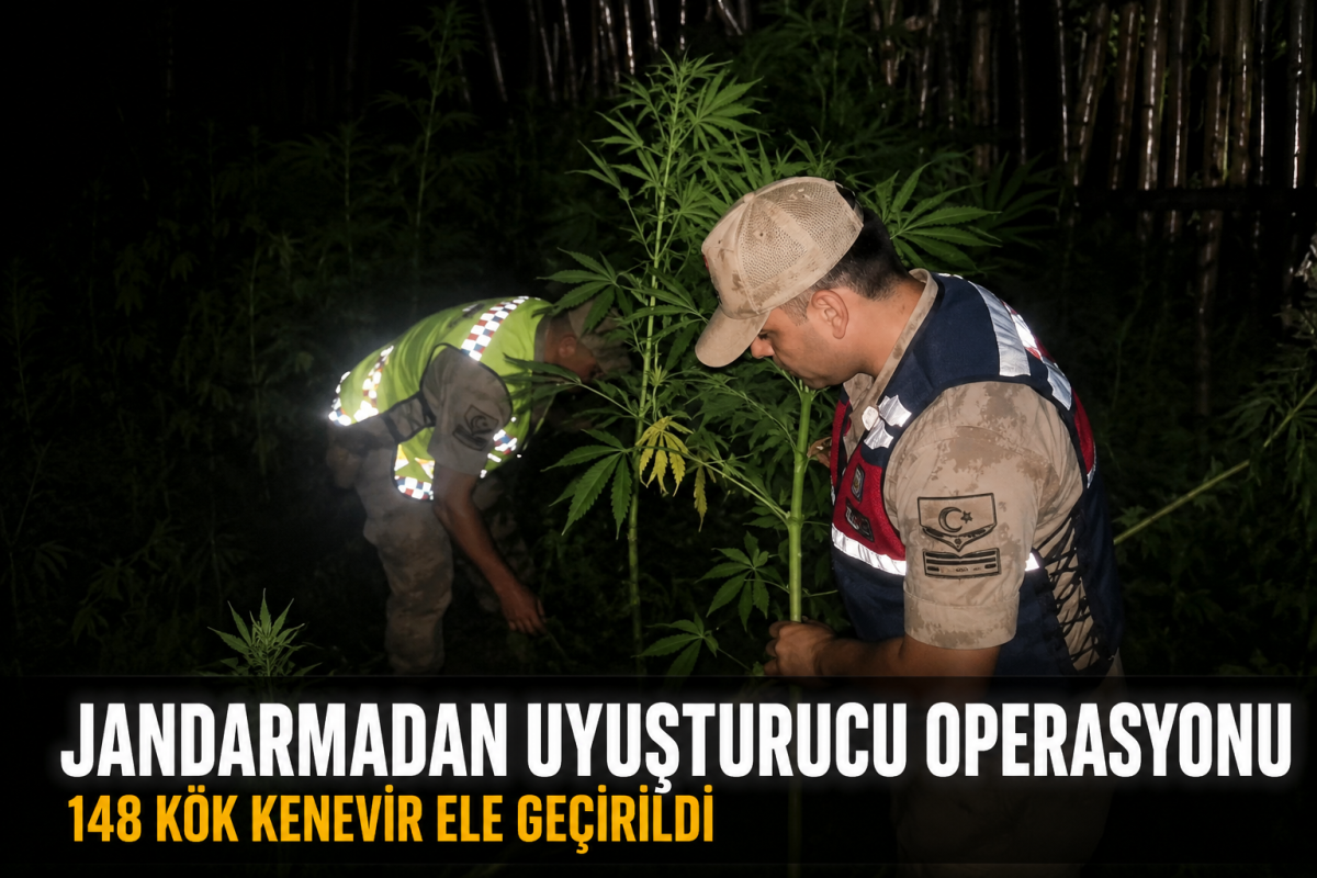 Hatay'da Uyuşturucu Serasına Baskın: 148 Kök Kenevir Ele Geçirildi