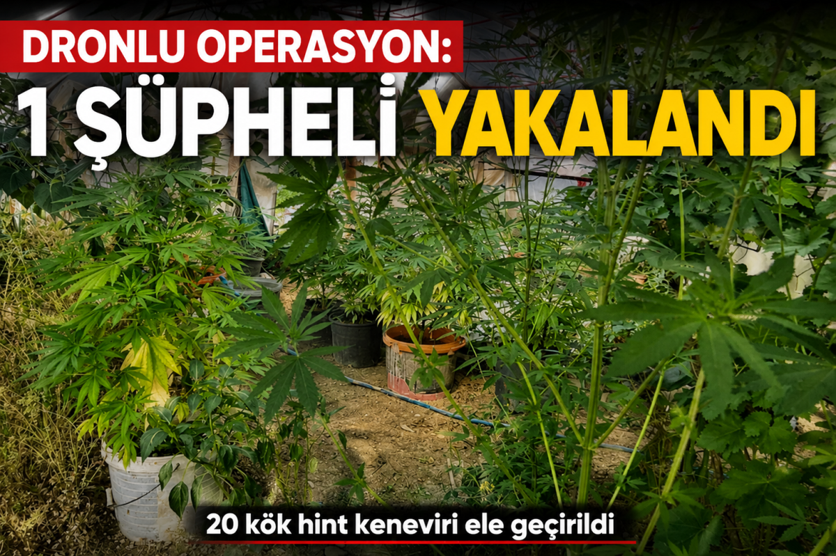 Dron Destekli Operasyonda Hint Keneviri Ele Geçirildi: 1 Gözaltı