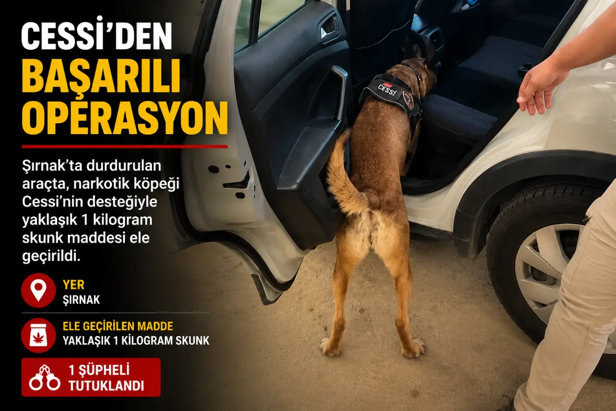 Şırnak’ta Narkotik Köpeği Cessi ile Araçta Skunk Operasyonu: 1 Tutuklama