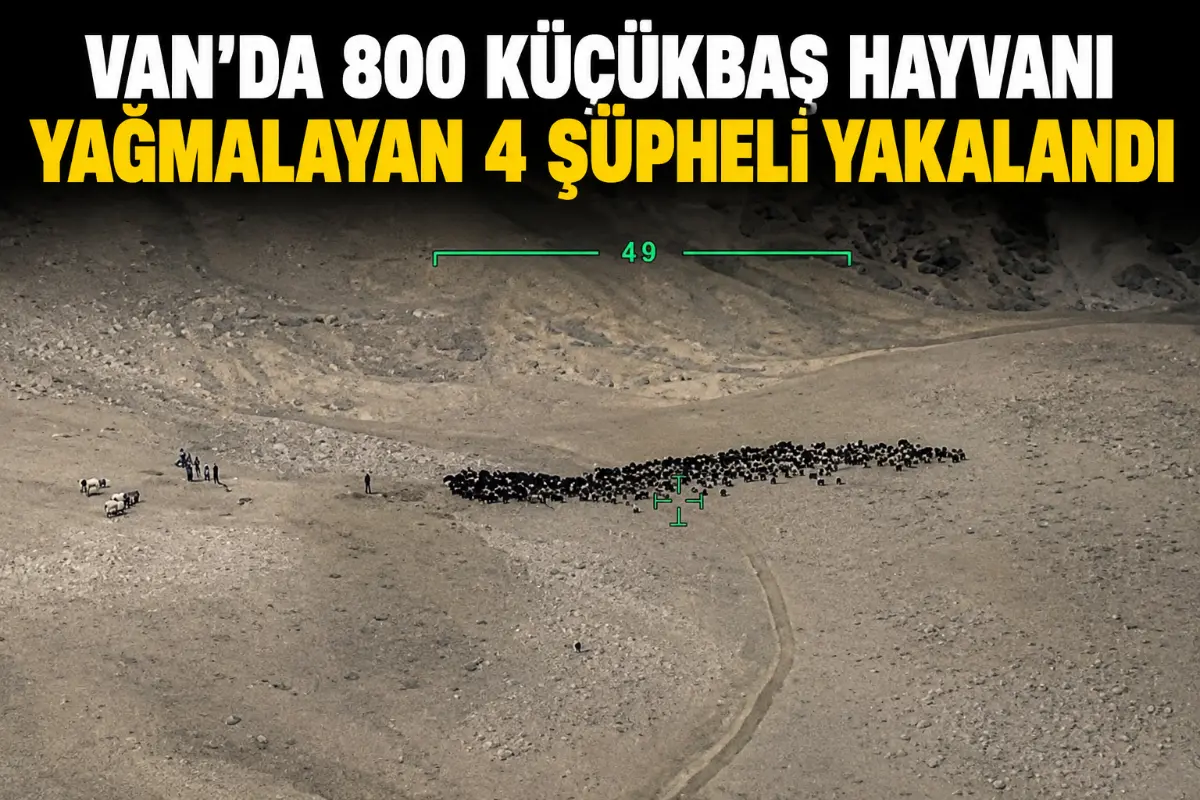 Van’da 800 Küçükbaş Hayvanı Yağmalayan 4 Şüpheli Yakalandı